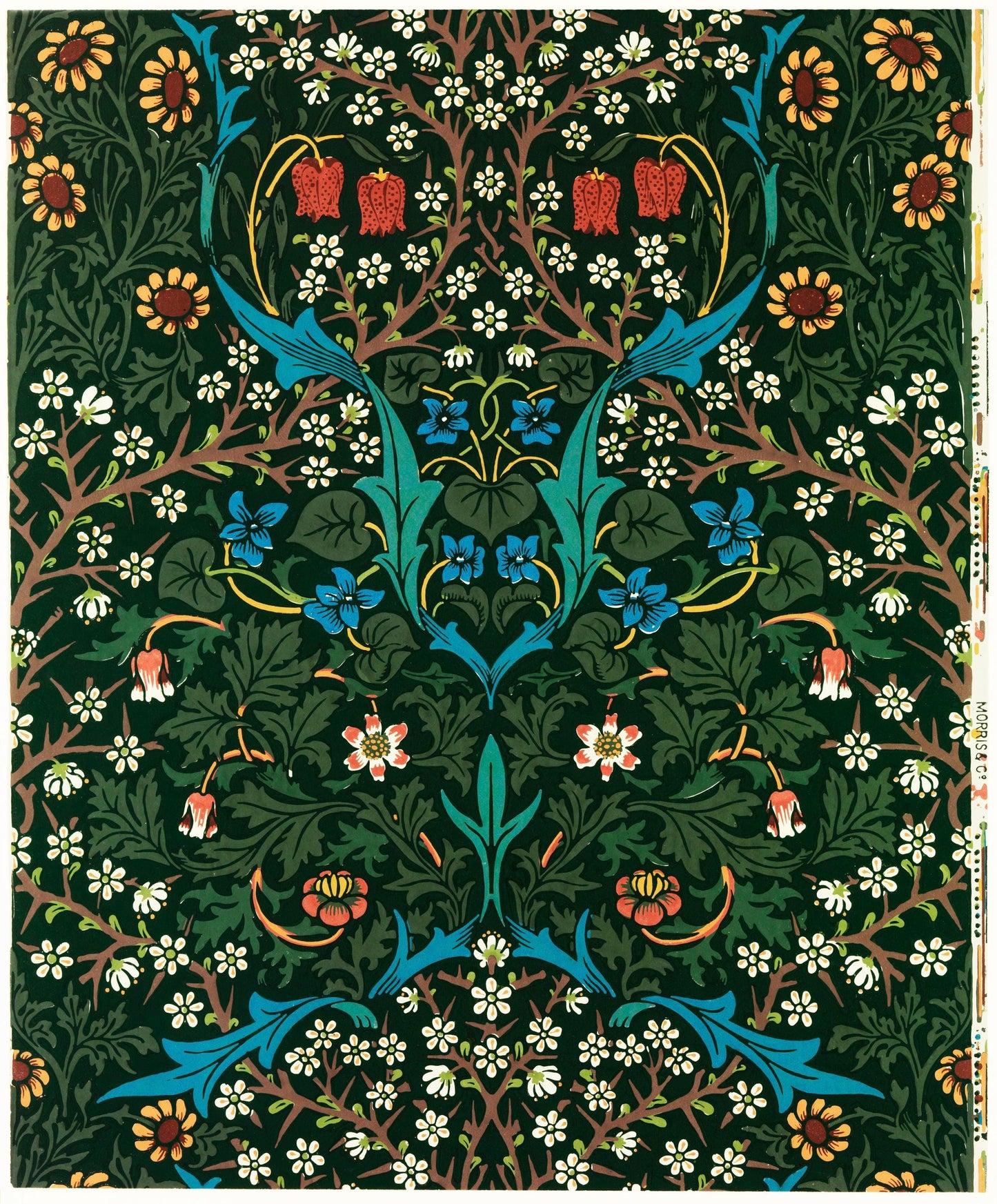 Tulip William Morris