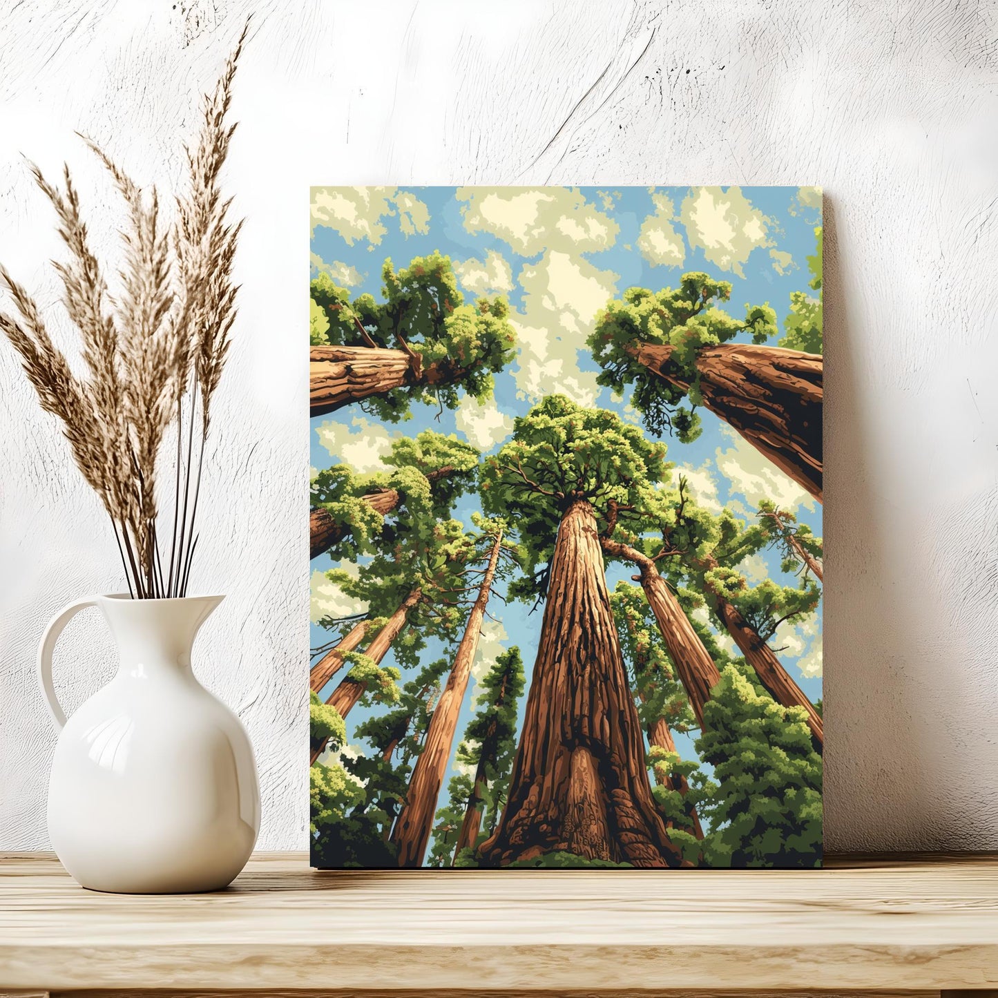 Redwood National Park,California Sequoia Forest Landscape