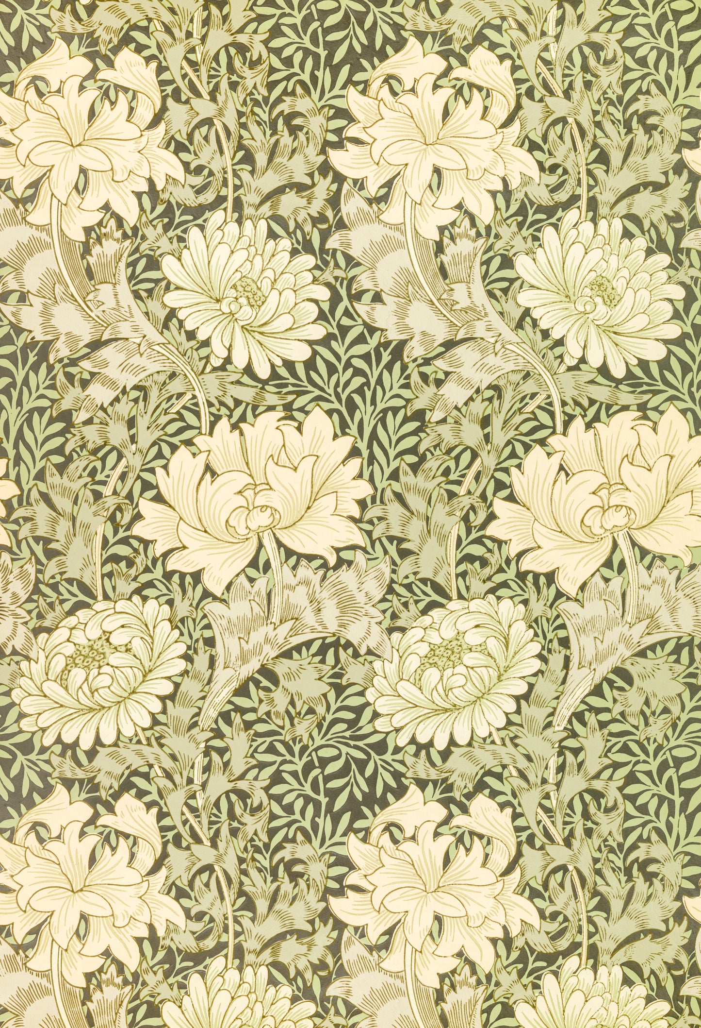 William Morris's Chrysanthemum (1877)paint by numbers