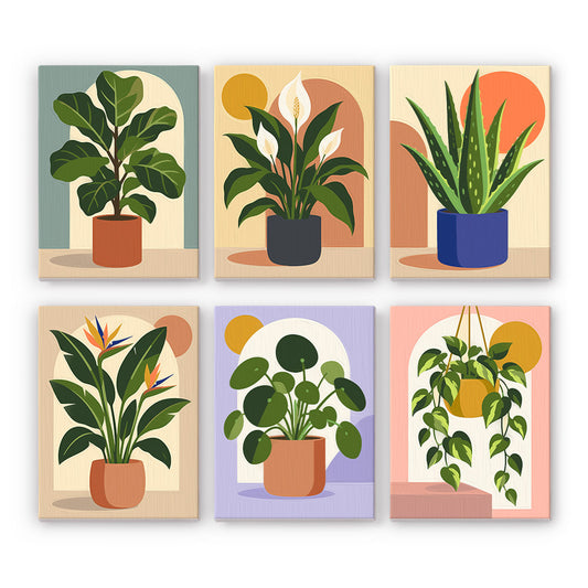 six different illustrations of potted plants, each with unique plant types and arrangements.