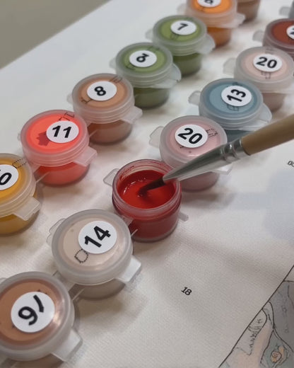 Custom Paint by Numbers Kit
